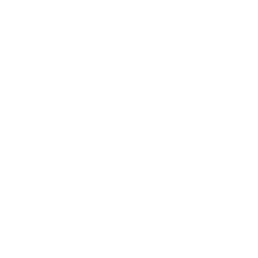 Bag Icon